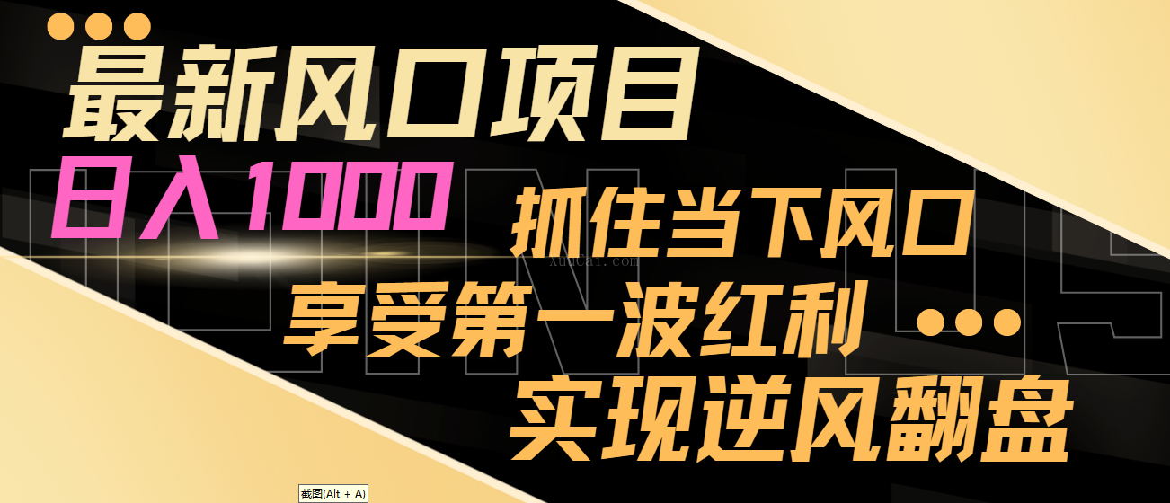 最新风口项目,日入过千,抓住当下风口,享受第一波红利,实现逆风翻盘-续财库